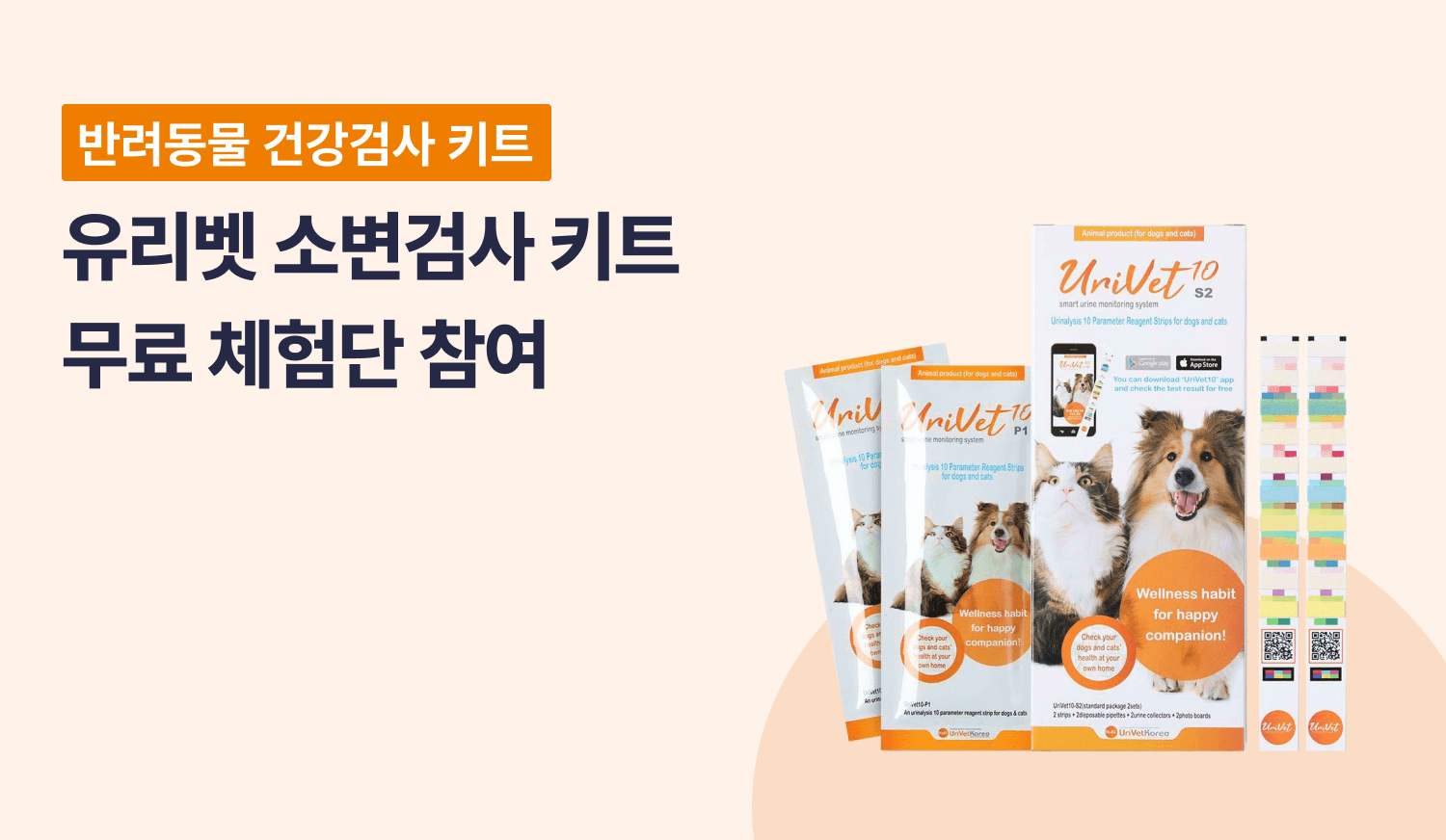 체험단 제품 사진