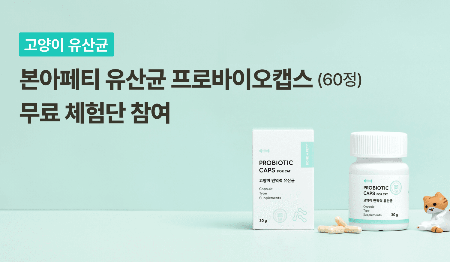 체험단 제품 사진