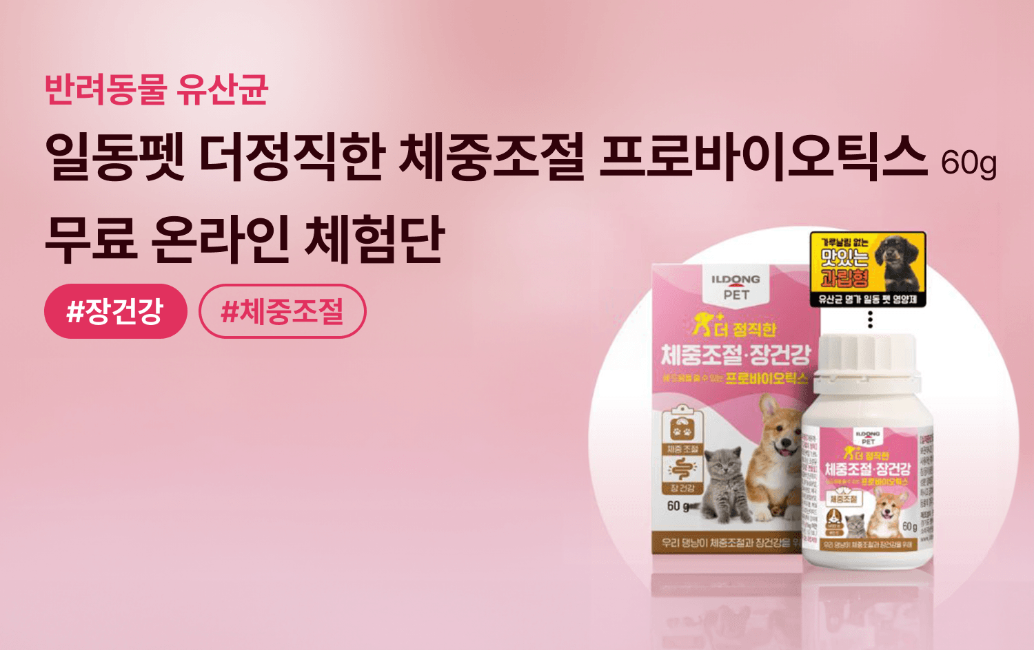 체험단 제품 사진