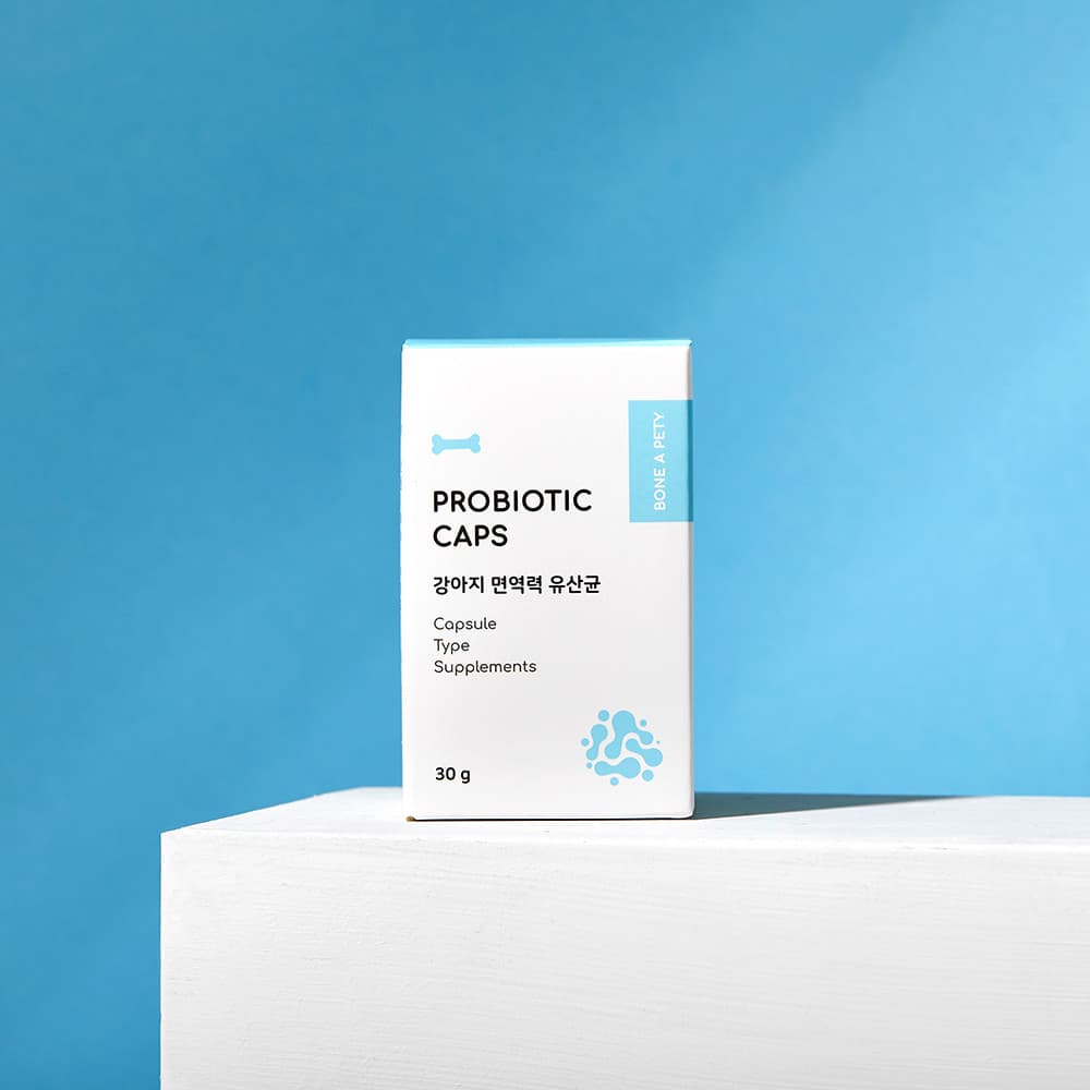 체험단 제품 사진