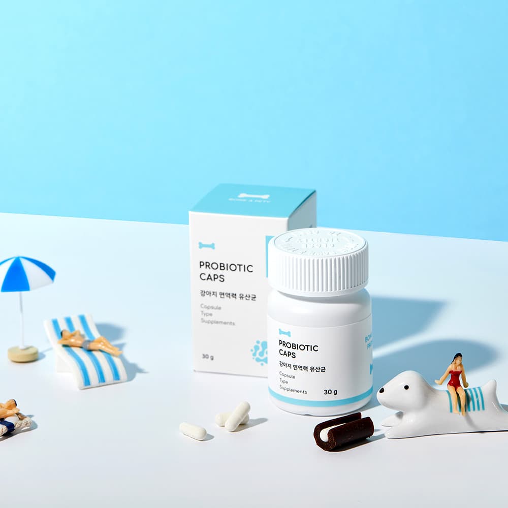 체험단 제품 사진