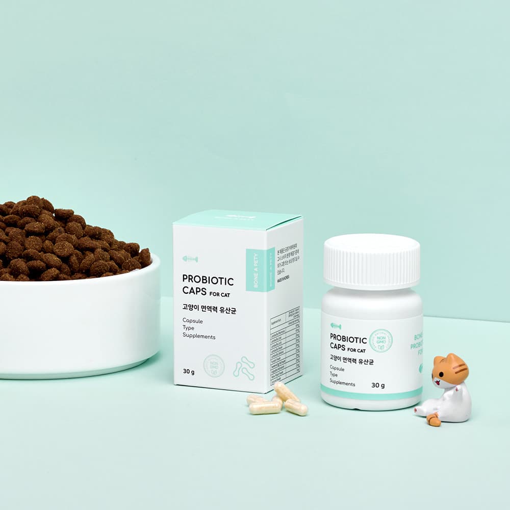 체험단 제품 사진