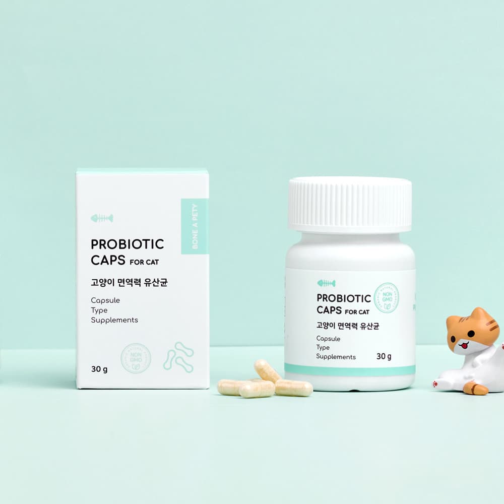 체험단 제품 사진