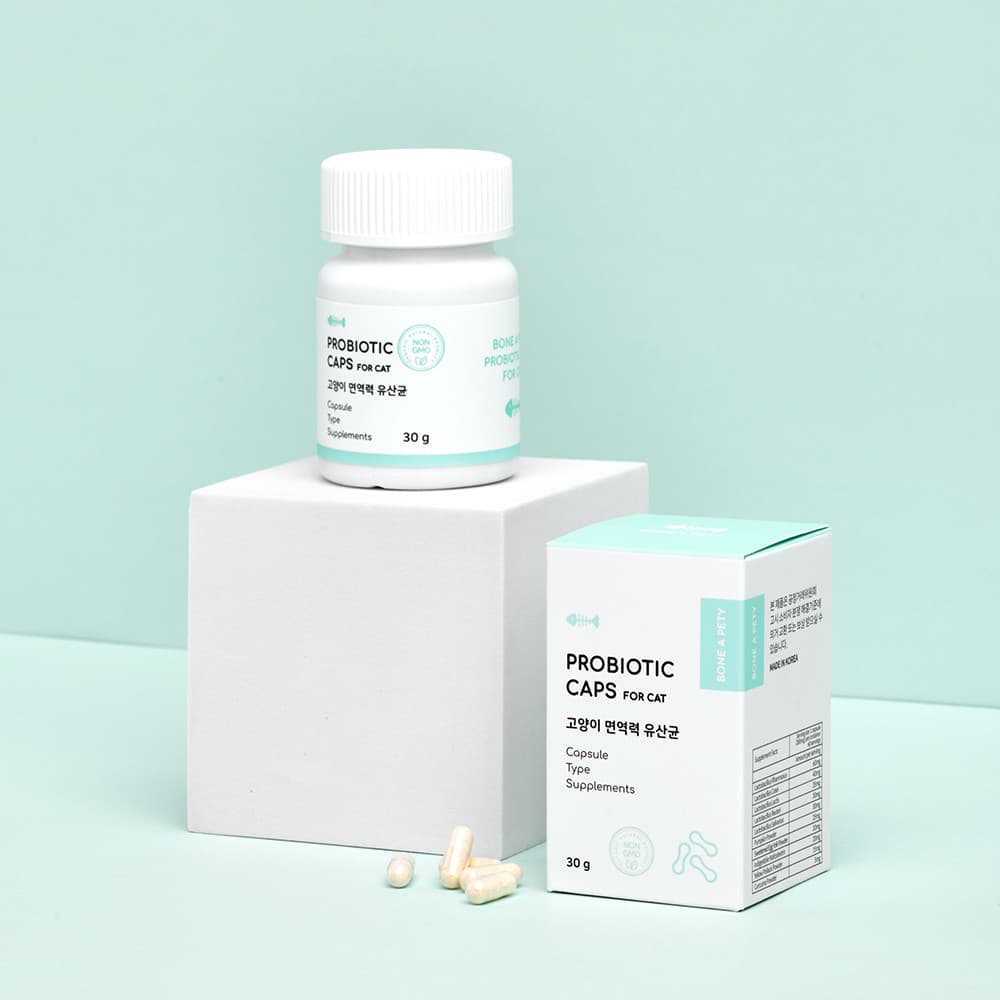 체험단 제품 사진