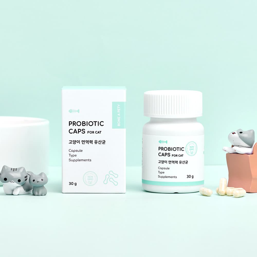 체험단 제품 사진