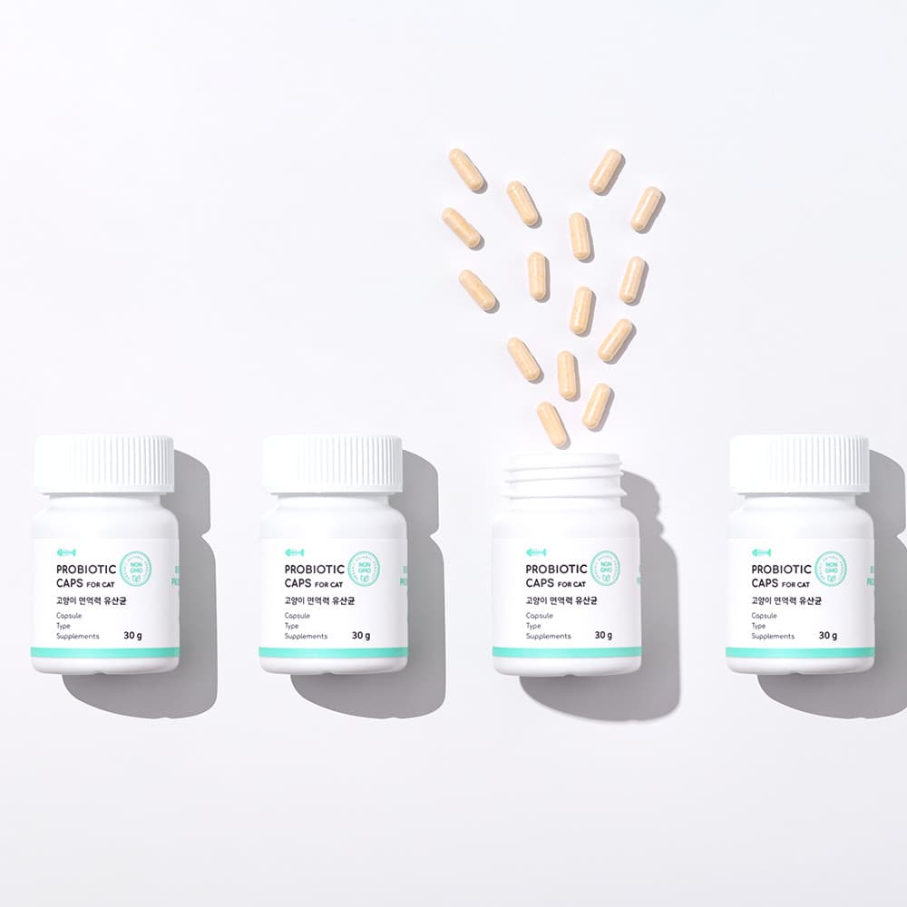 체험단 제품 사진