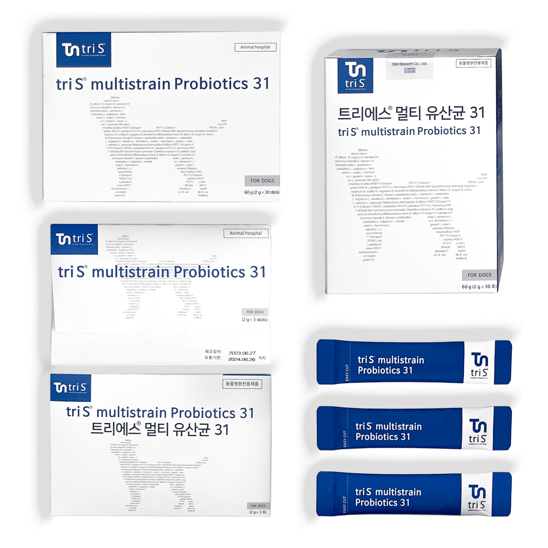 체험단 제품 사진