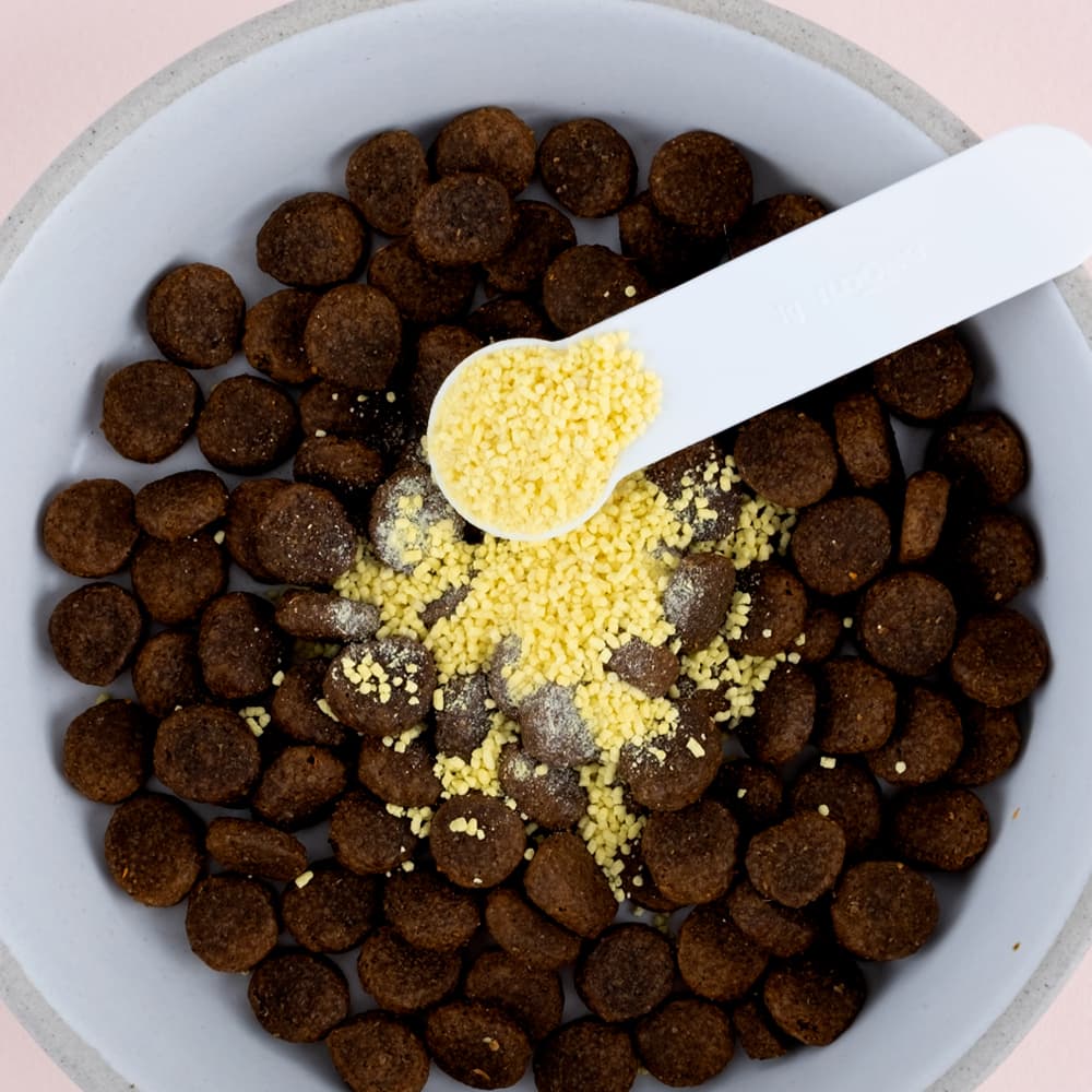 체험단 제품 사진