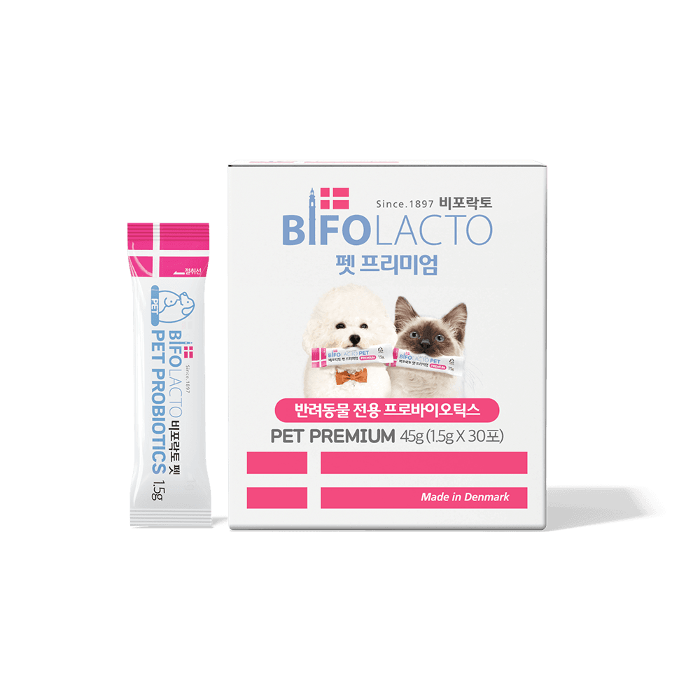 체험단 제품 사진