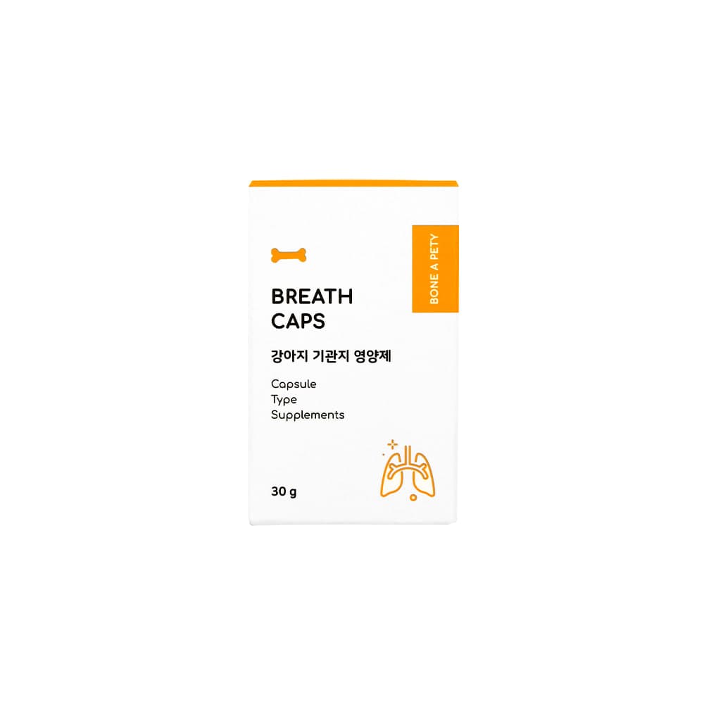 체험단 제품 사진