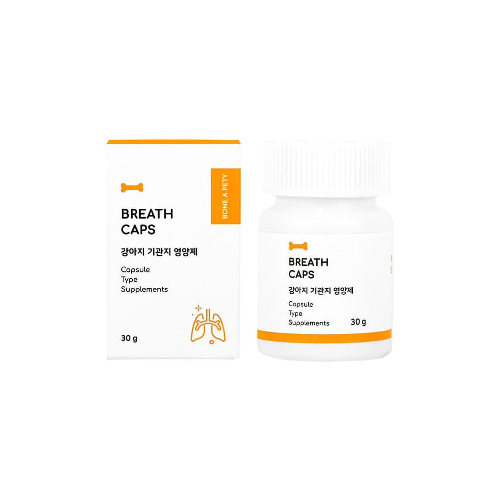 체험단 제품 사진