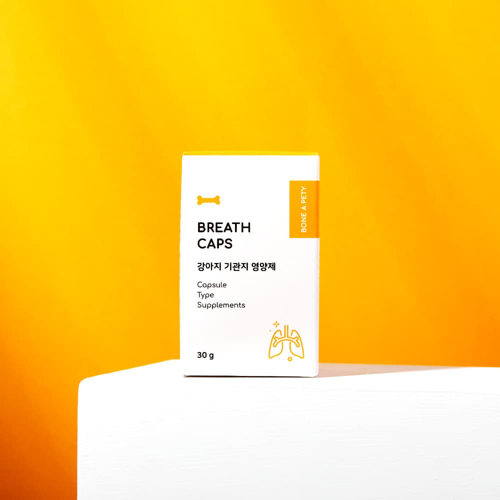 체험단 제품 사진