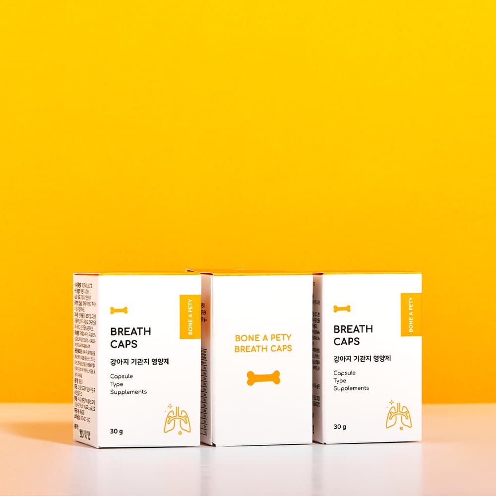 체험단 제품 사진