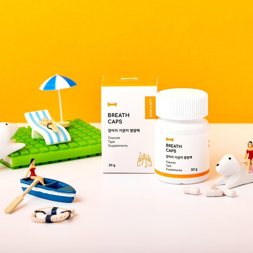 체험단 제품 사진