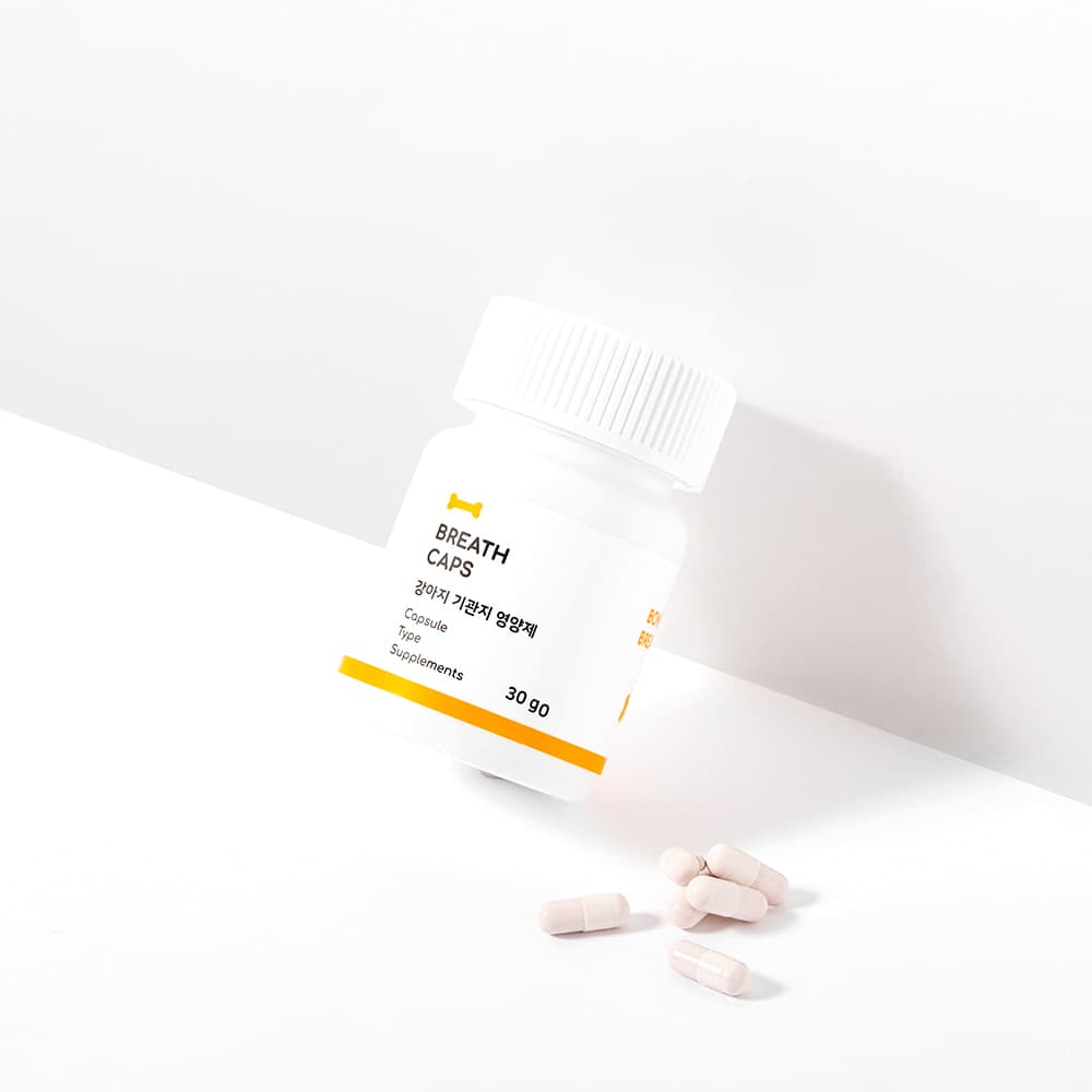 체험단 제품 사진