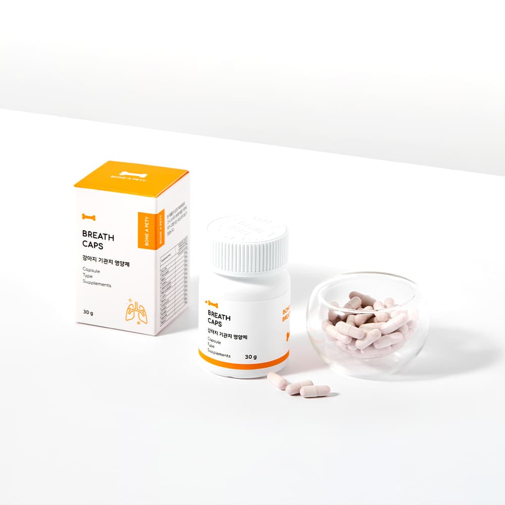 체험단 제품 사진