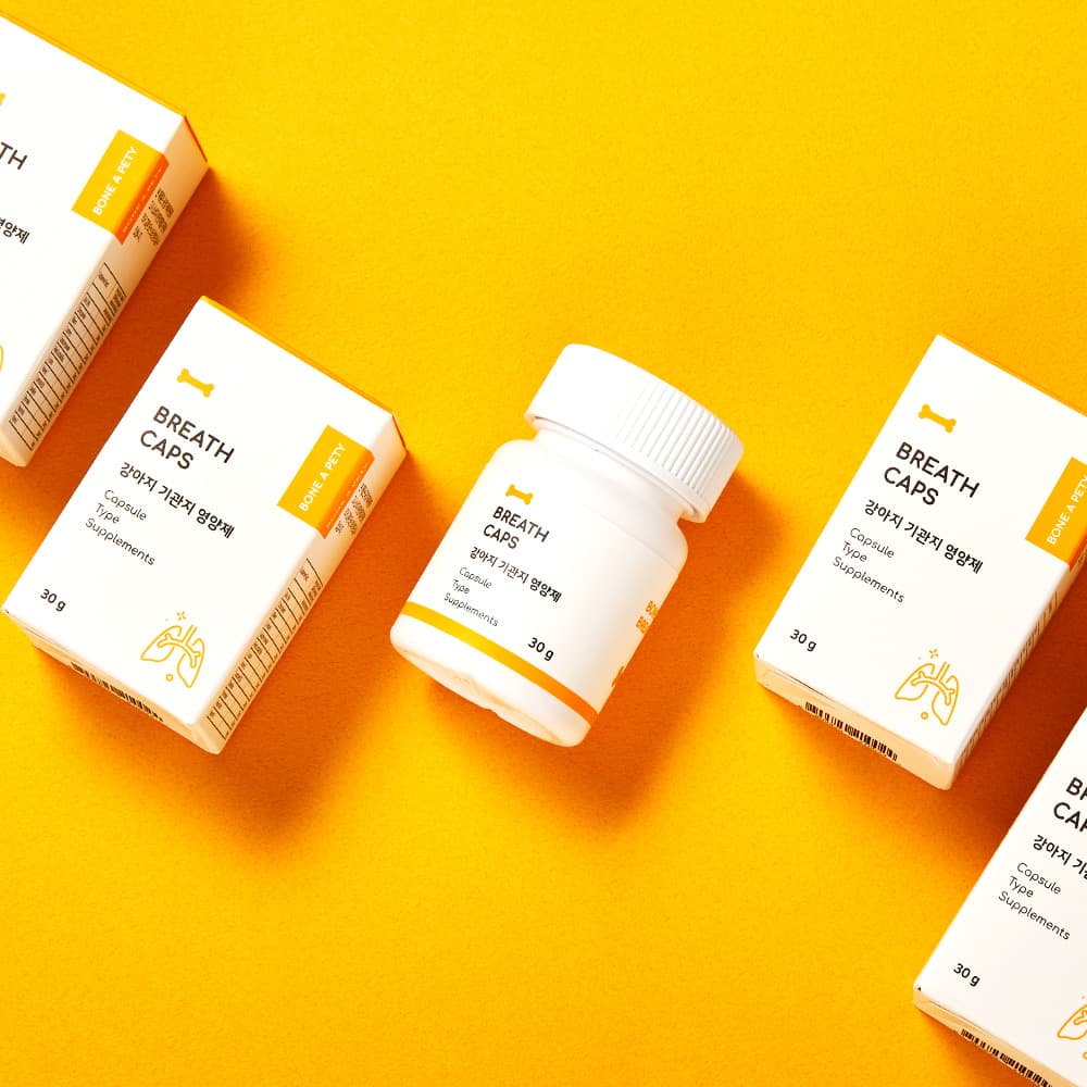 체험단 제품 사진