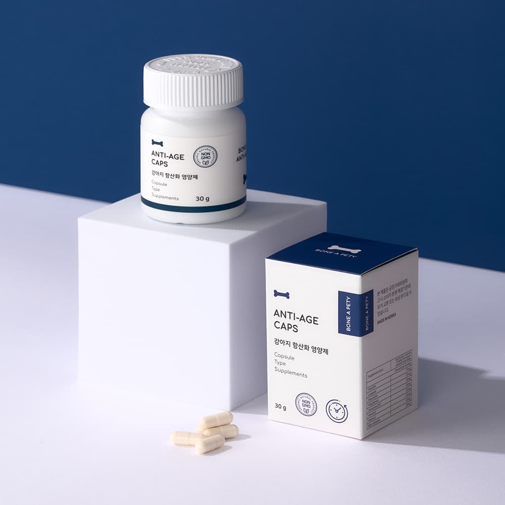 체험단 제품 사진