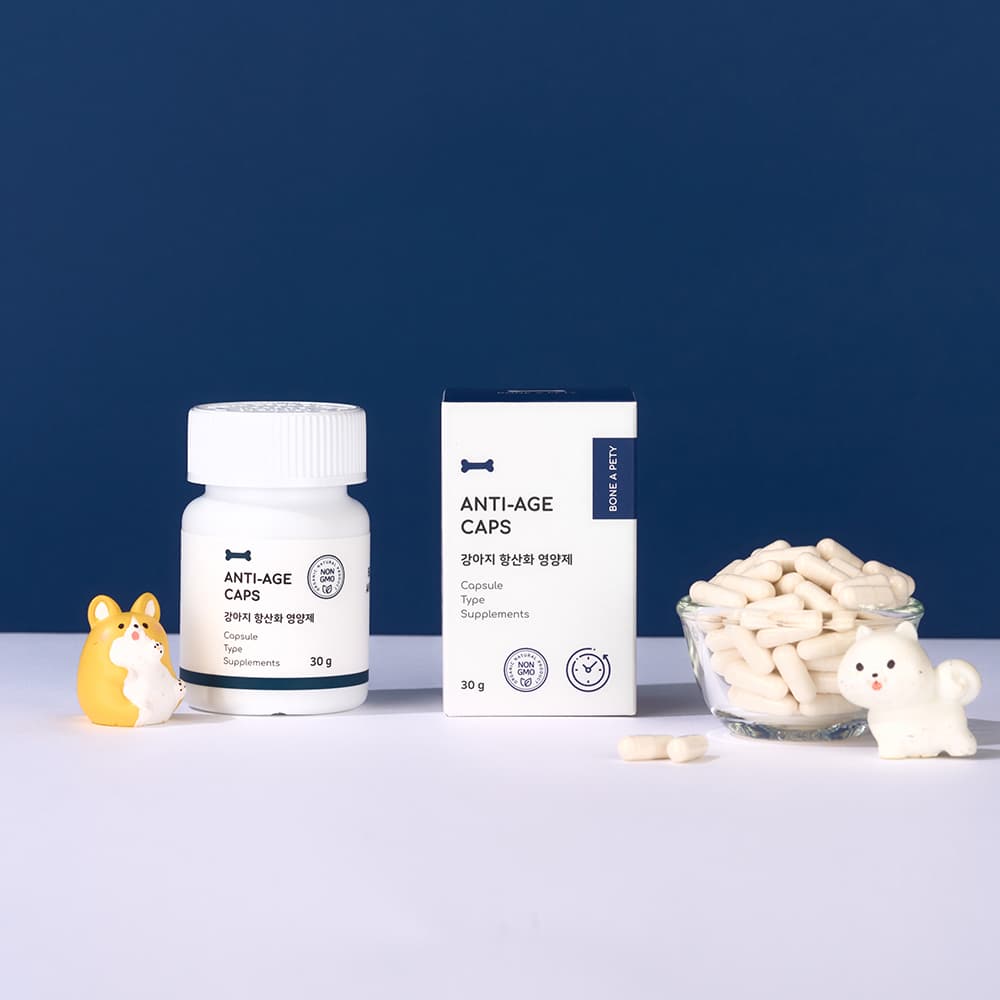 체험단 제품 사진