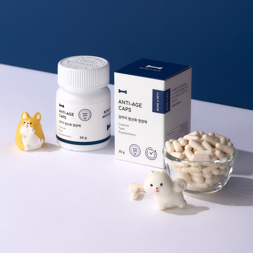 체험단 제품 사진