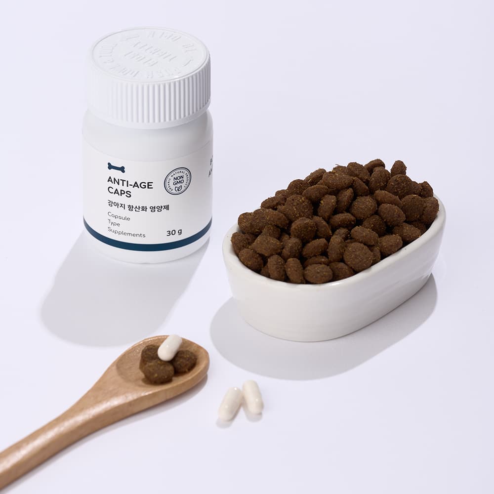 체험단 제품 사진