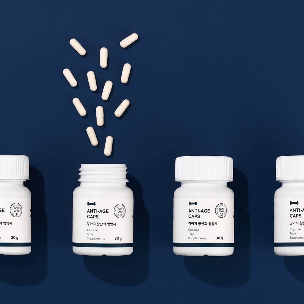 체험단 제품 사진