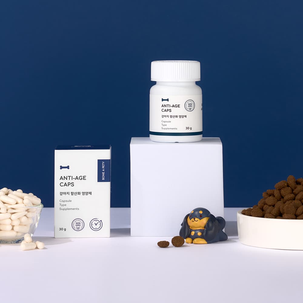 체험단 제품 사진