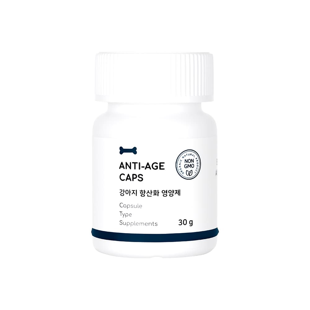 체험단 제품 사진