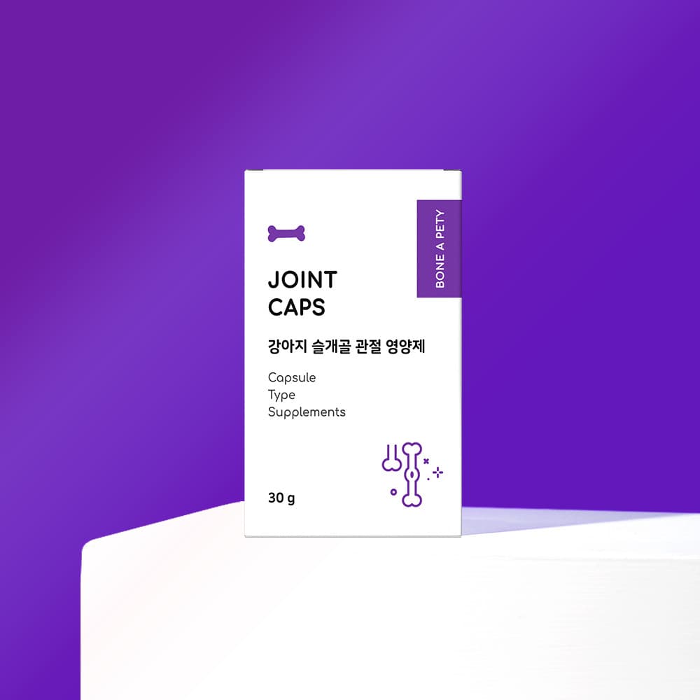 체험단 제품 사진