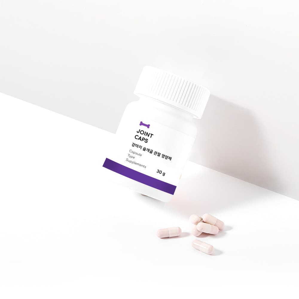 체험단 제품 사진