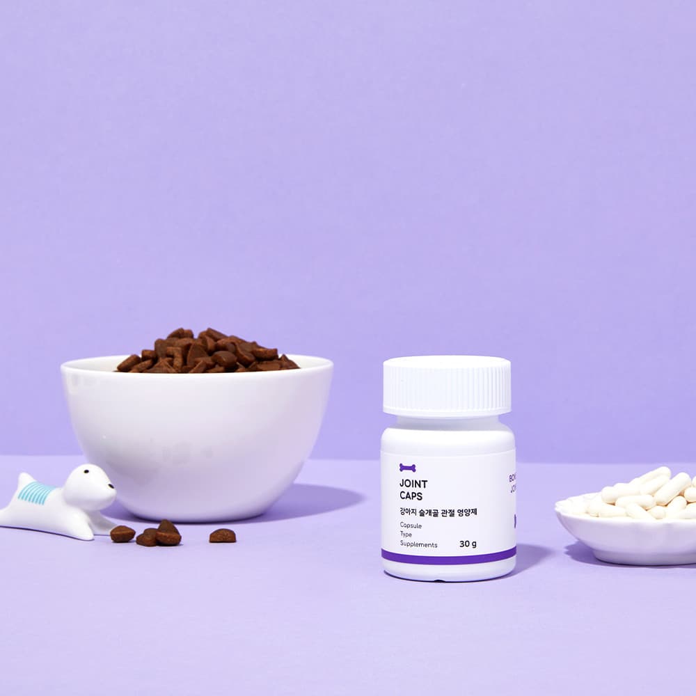 체험단 제품 사진