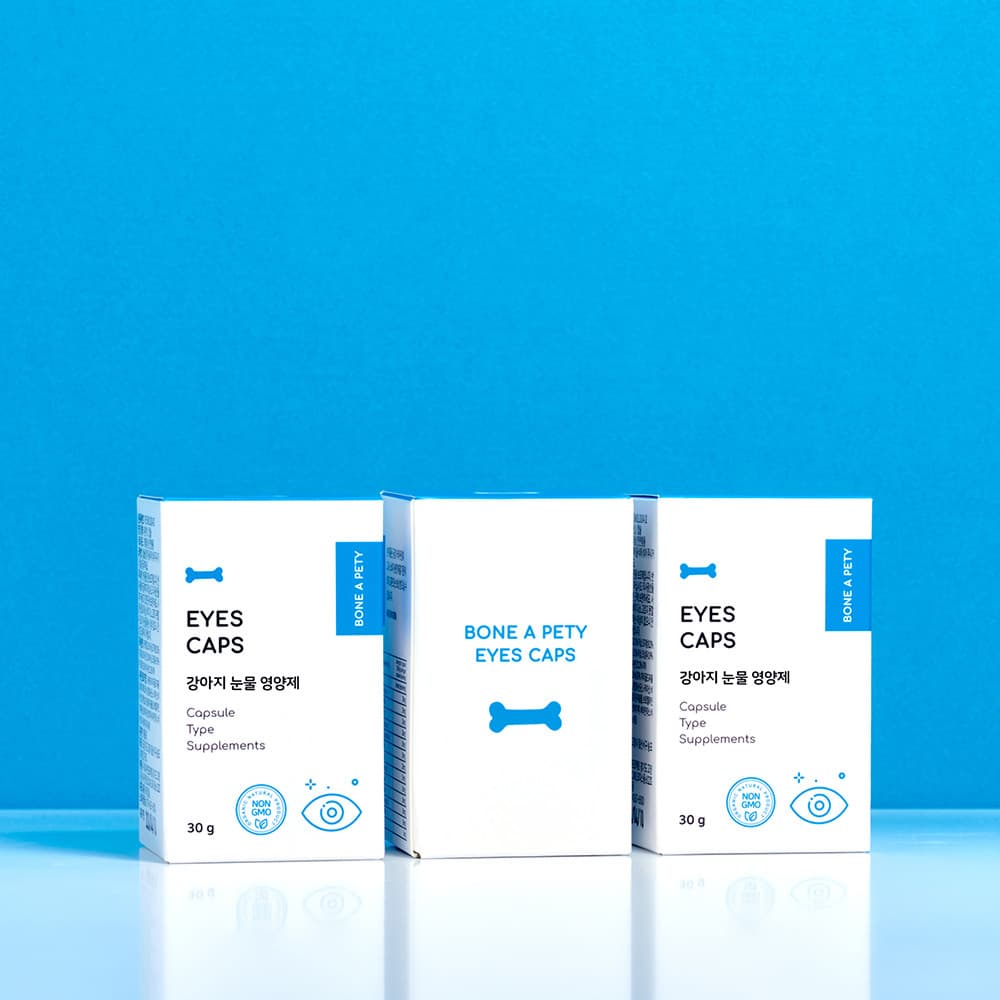 체험단 제품 사진