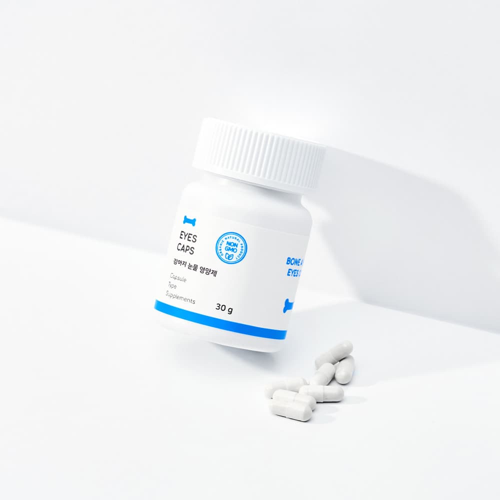 체험단 제품 사진