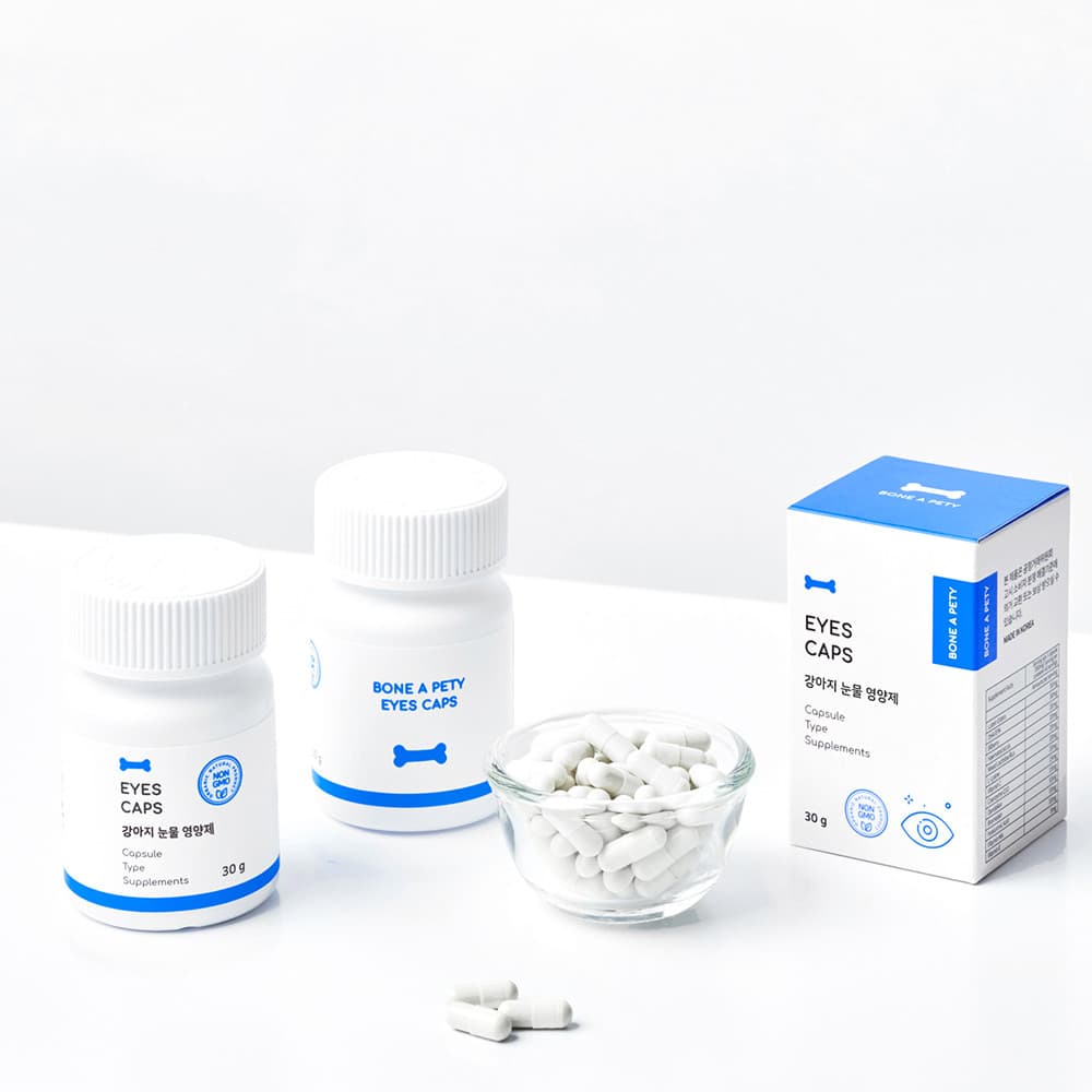 체험단 제품 사진