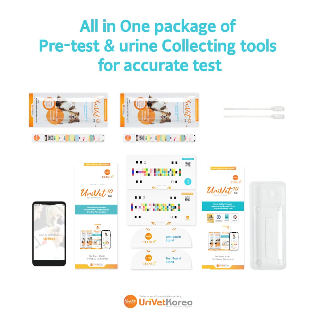체험단 제품 사진