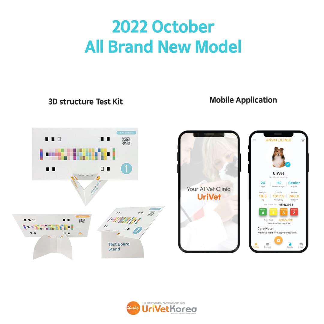 체험단 제품 사진