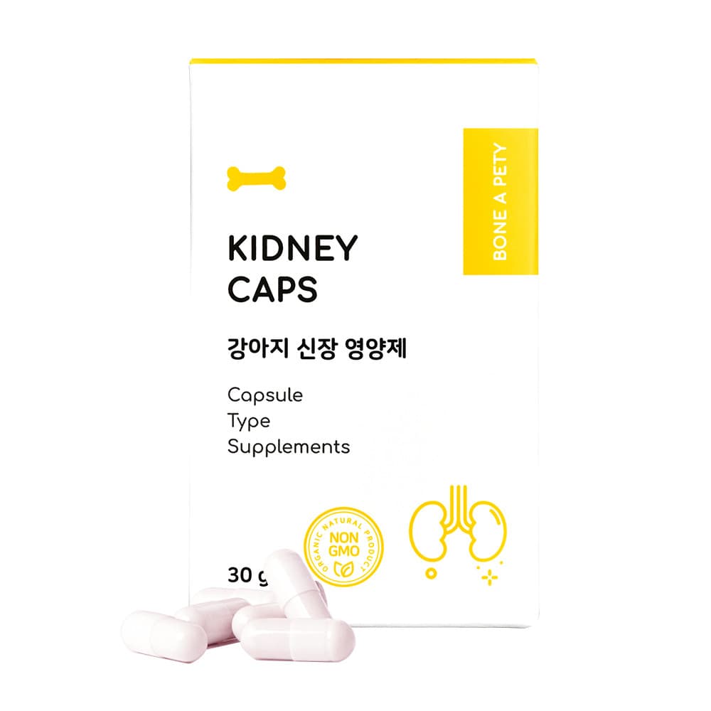 체험단 제품 사진