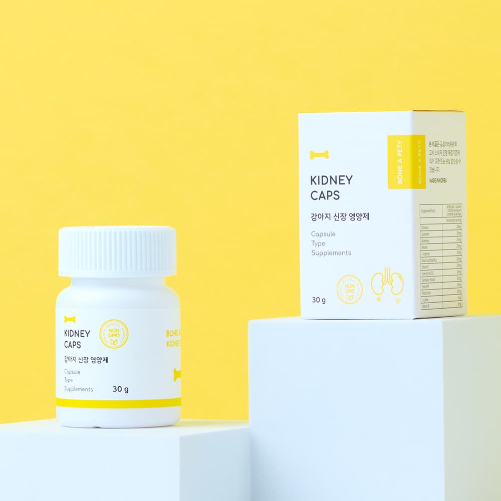 체험단 제품 사진