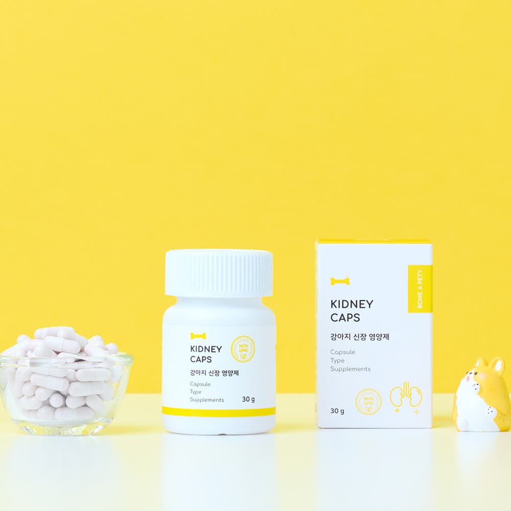 체험단 제품 사진