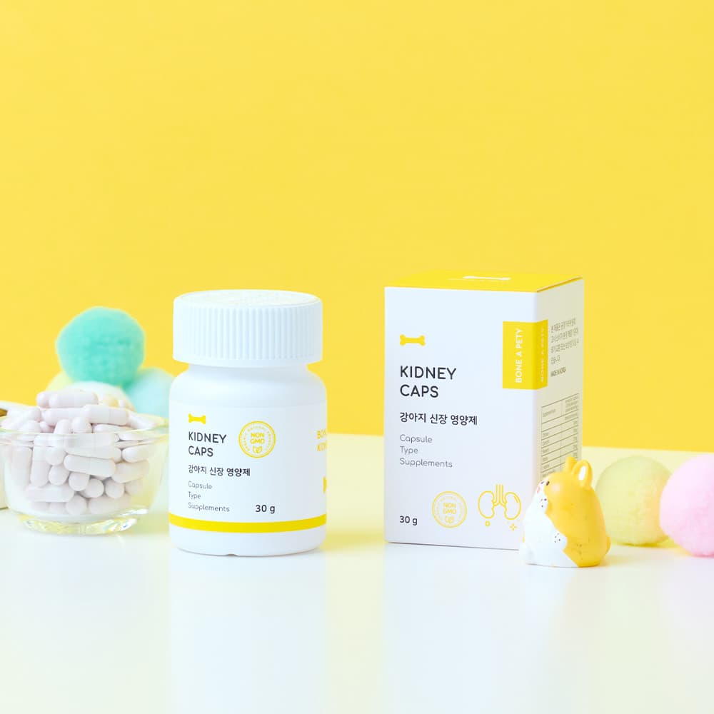 체험단 제품 사진