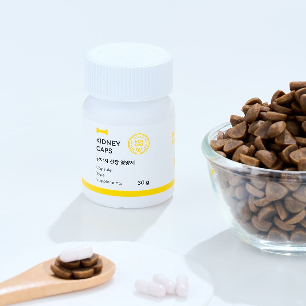 체험단 제품 사진