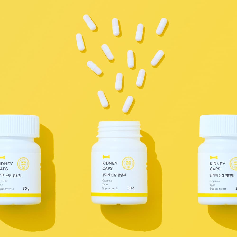 체험단 제품 사진