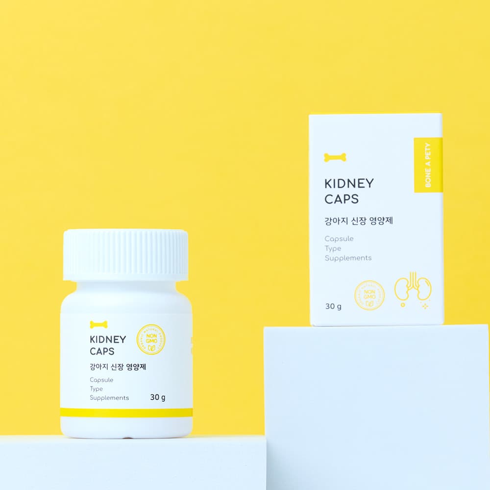 체험단 제품 사진