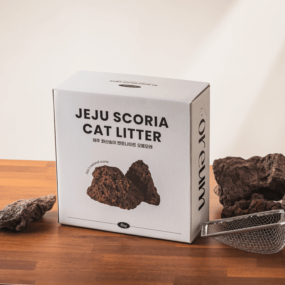 체험단 제품 사진