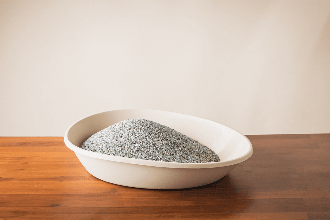 체험단 제품 사진