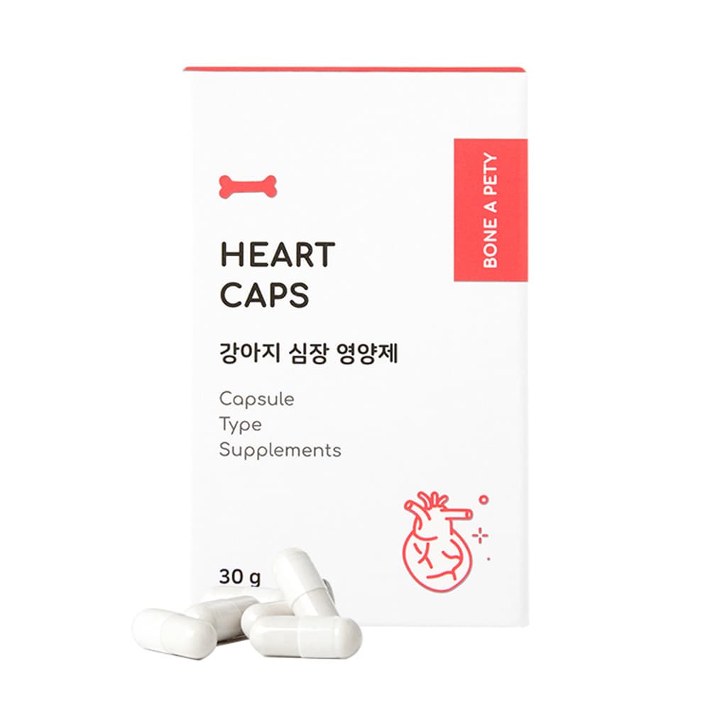 체험단 제품 사진