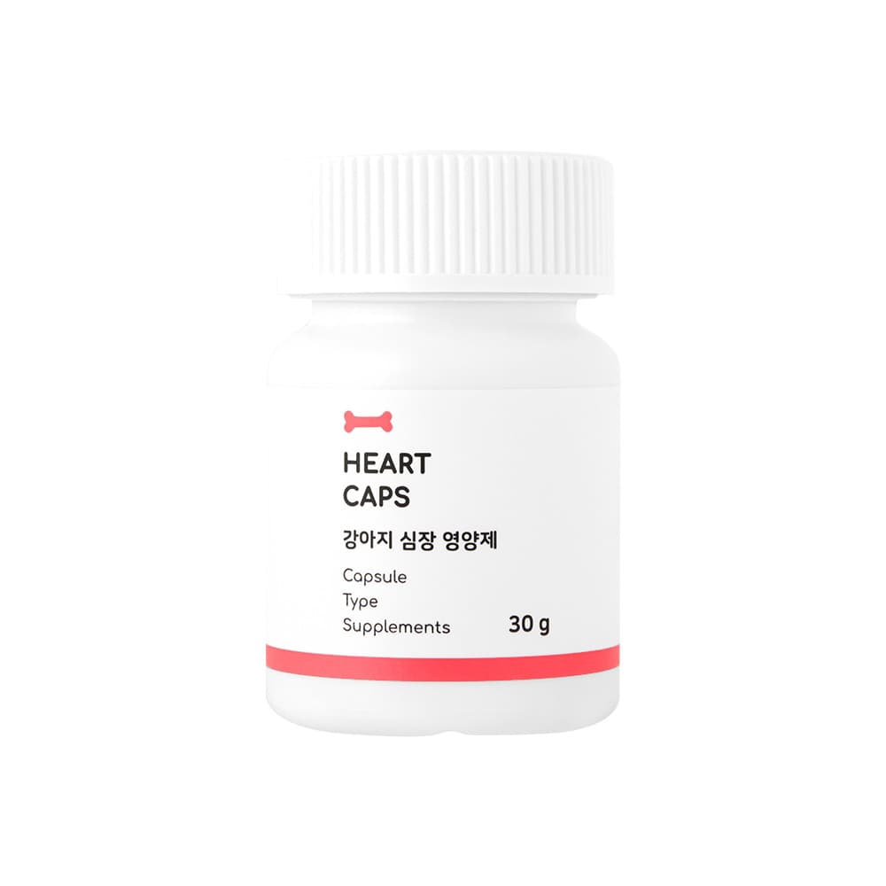 체험단 제품 사진