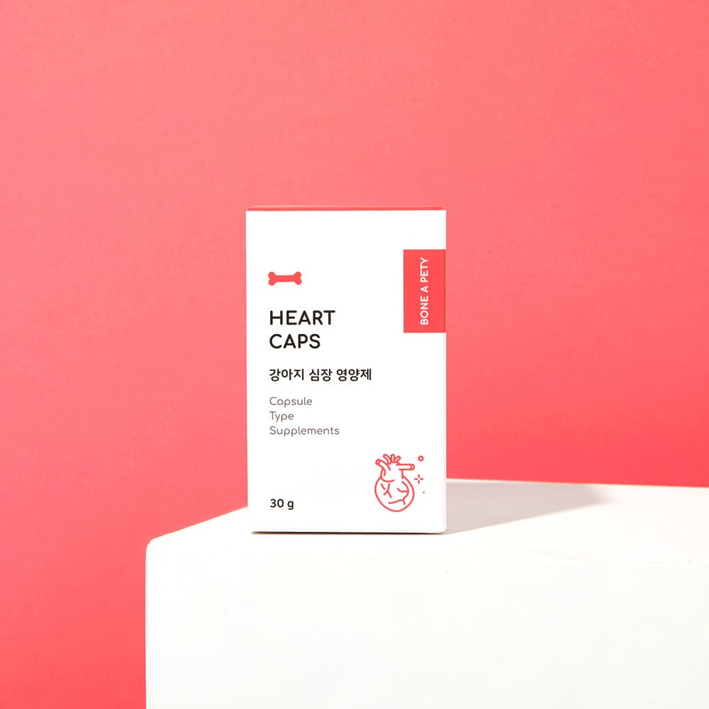 체험단 제품 사진