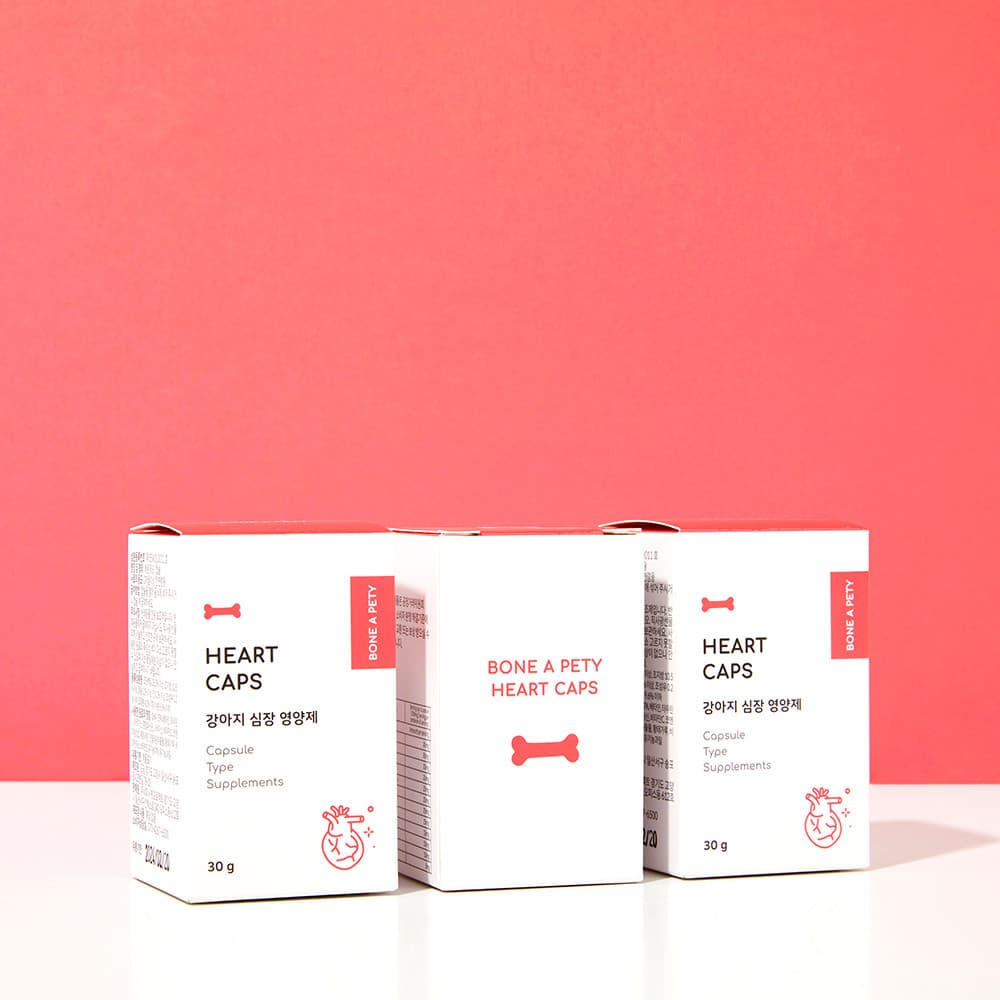 체험단 제품 사진