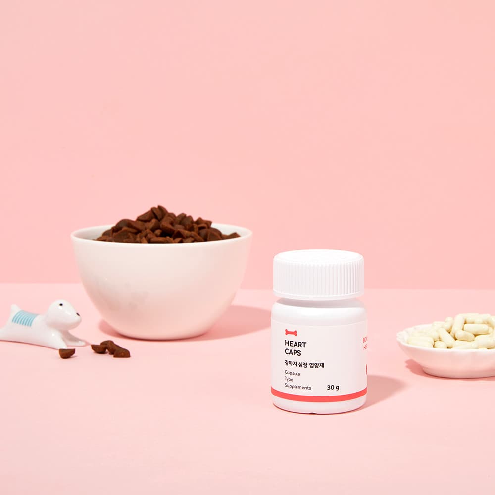 체험단 제품 사진